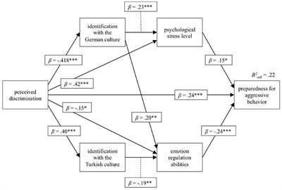 The Impact of Perceived Discrimination on Cultural Identification, Psychological Stress, Emotion Regulation and Aggressive Tendencies in Individuals With Turkish Migration Background in Germany